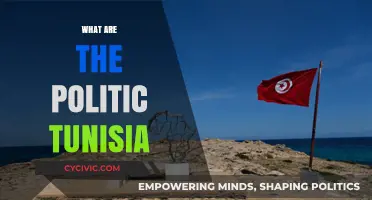 Understanding Tunisia's Political Landscape: Key Players, Systems, and Challenges