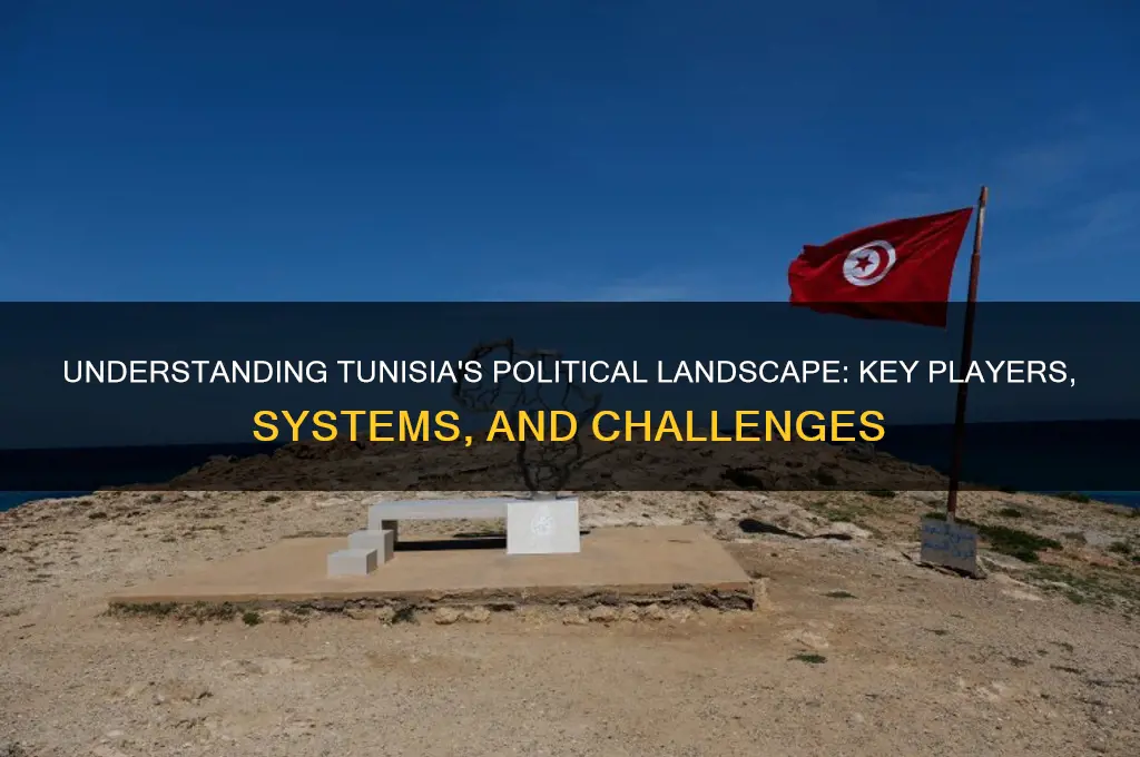 what are the politic tunisia