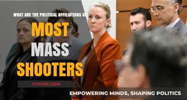 Unraveling the Complex Political Links of Mass Shooters