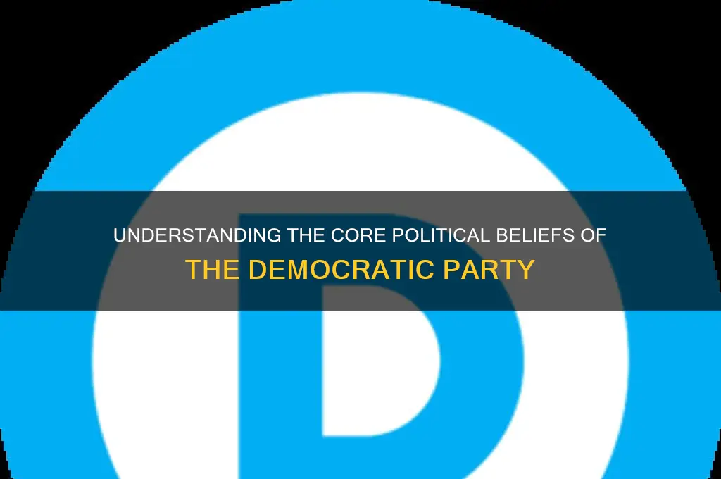 what are the political beliefs of the democratic party