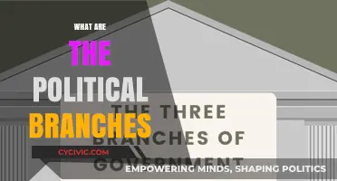Exploring the Three Pillars of Political Power: A Comprehensive Guide