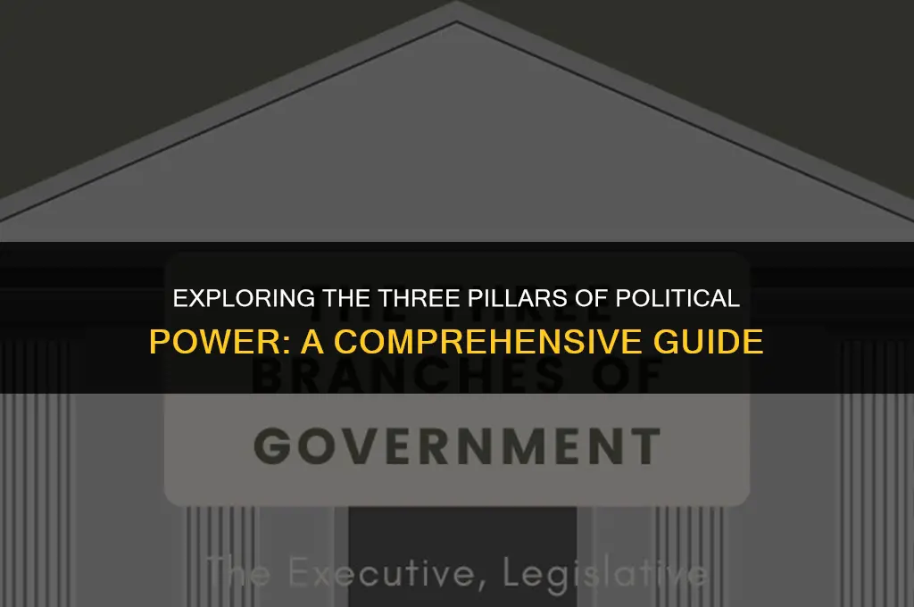 what are the political branches