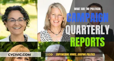 Quarterly Reports: Political Campaign Finance Insights