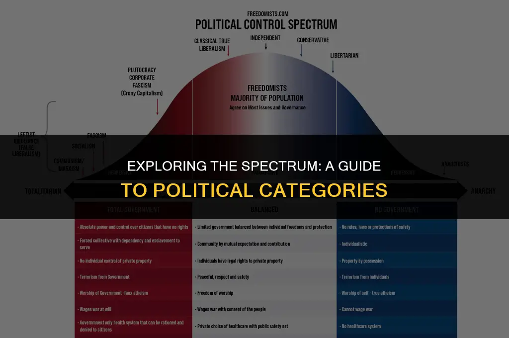 what are the political categories