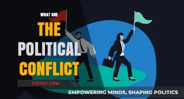 Exploring the Complex Landscape of Political Conflicts