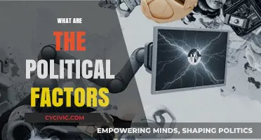 Understanding Political Factors: Key Influences Shaping Policies and Governance