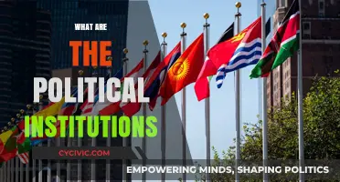 Understanding Political Institutions: Structures, Functions, and Global Impact