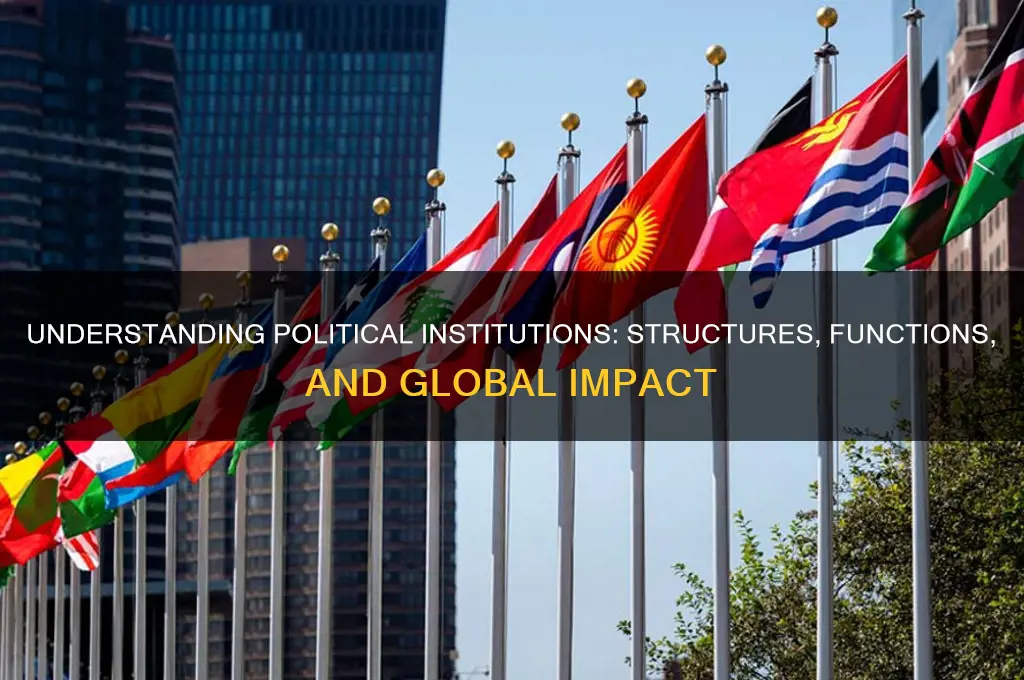 what are the political institutions