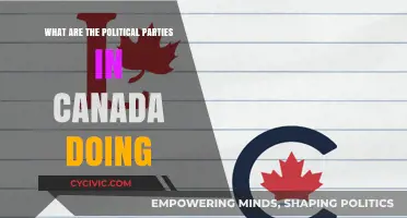 Canada's Political Parties: Current Actions, Policies, and Strategies Explained