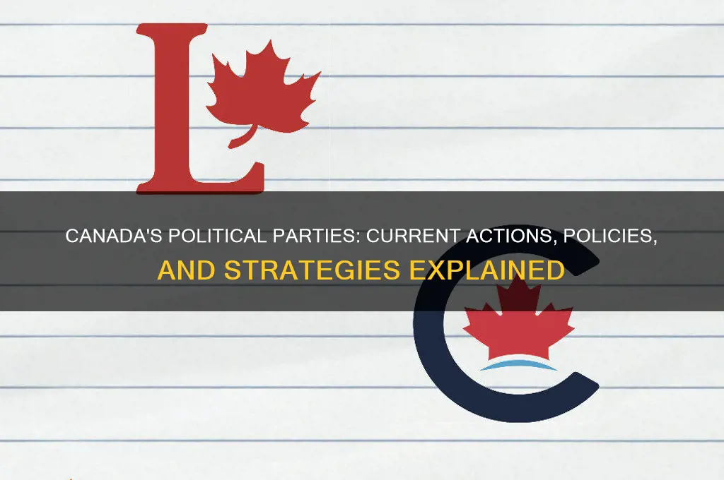 what are the political parties in canada doing