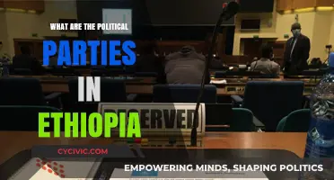 Exploring Ethiopia's Political Landscape: Parties, Ideologies, and Influence