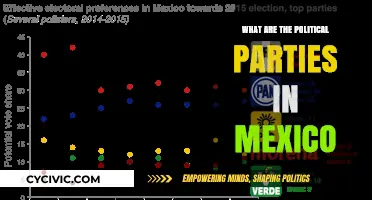 Exploring Mexico's Political Landscape: Key Parties and Their Influence