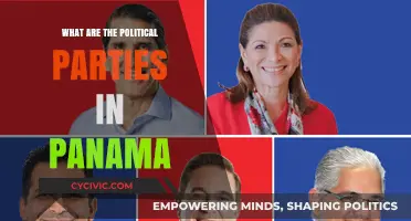 Exploring Panama's Political Landscape: Parties, Ideologies, and Influence