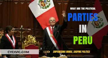 Exploring Peru's Political Landscape: Key Parties and Their Ideologies