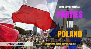 Exploring Poland's Political Landscape: Parties, Ideologies, and Influence