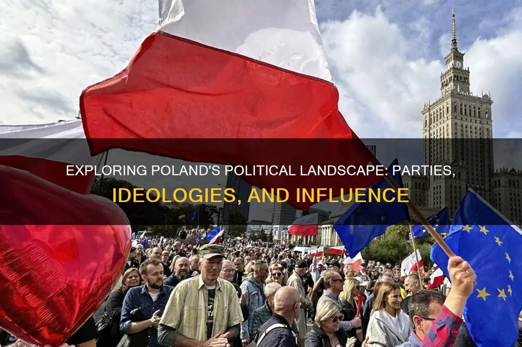 what are the political parties in poland