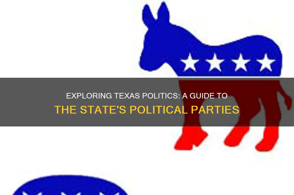 what are the political parties in texas