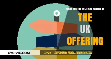 UK Political Parties' Promises: Policies, Priorities, and Election Offers