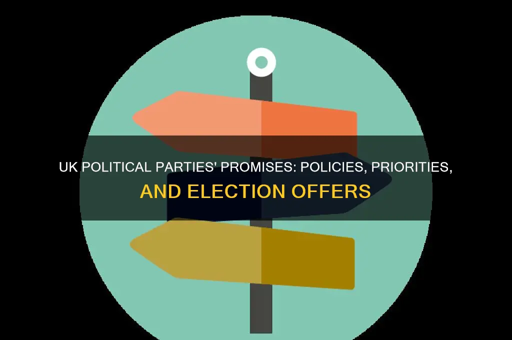 what are the political parties in the uk offering