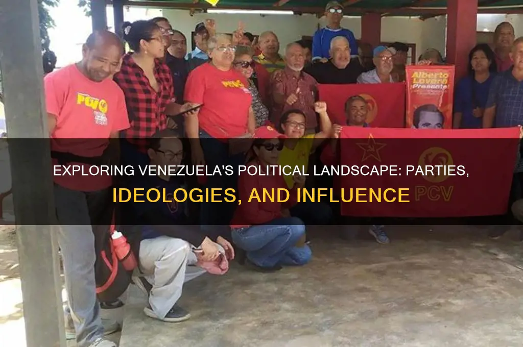 what are the political parties in venezuela