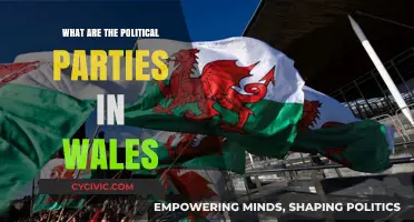 Exploring Wales' Political Landscape: Key Parties and Their Roles