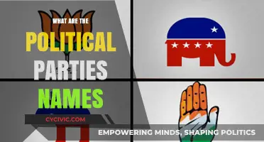 Exploring the Names and Identities of Global Political Parties