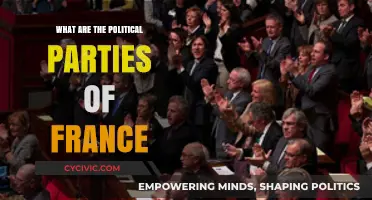 Exploring France's Political Landscape: Parties, Ideologies, and Influence