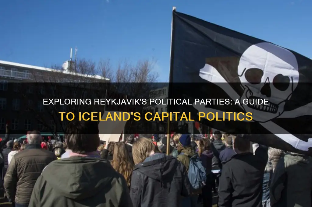 what are the political parties of reykjavik