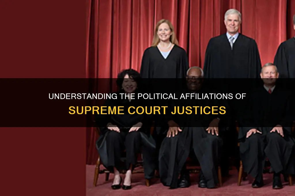what are the political parties of the supreme court