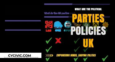 UK Political Parties: Key Policies and Their Impact Explained