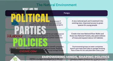 Understanding Political Parties: Policies, Platforms, and Their Impact on Governance