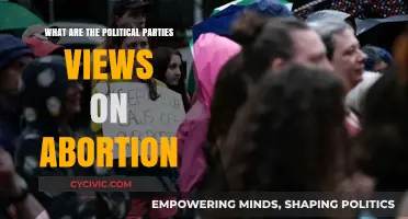 Abortion Policies Compared: Political Parties' Stances and Their Implications