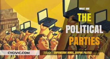 Understanding Political Parties: Roles, Structures, and Influence in Democracy