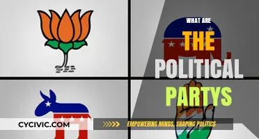Understanding Political Parties: Roles, Structures, and Global Influence Explained