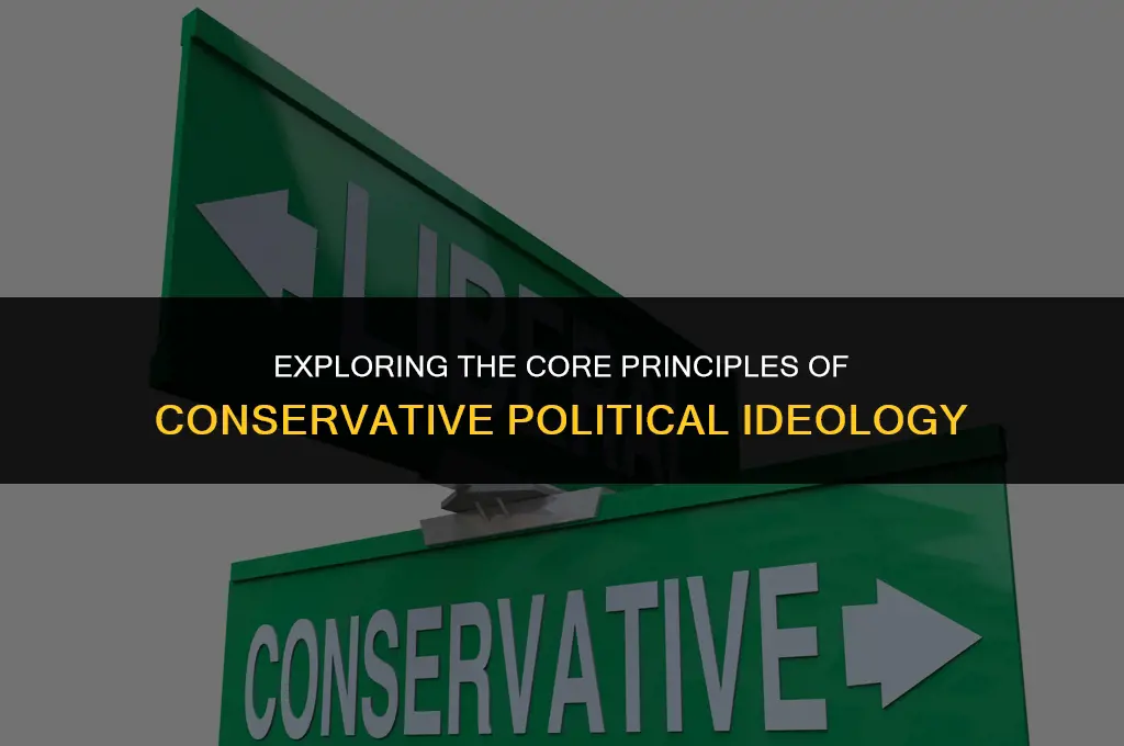 what are the political views of a conservative