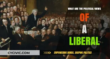 Understanding Liberalism: A Dive into Progressive Political Ideals