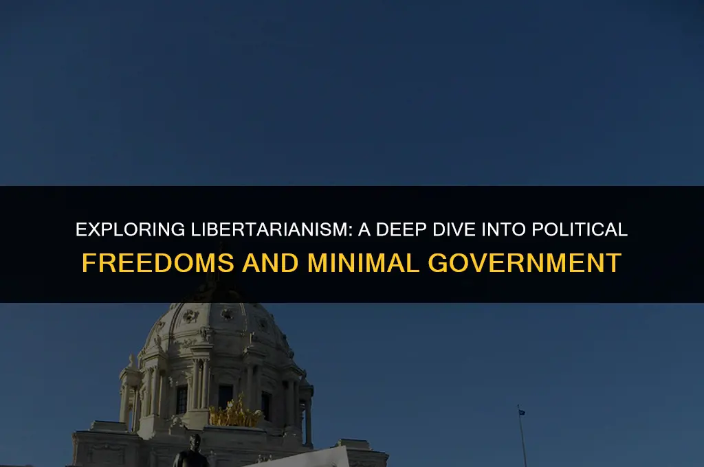 what are the political views of a libertarian