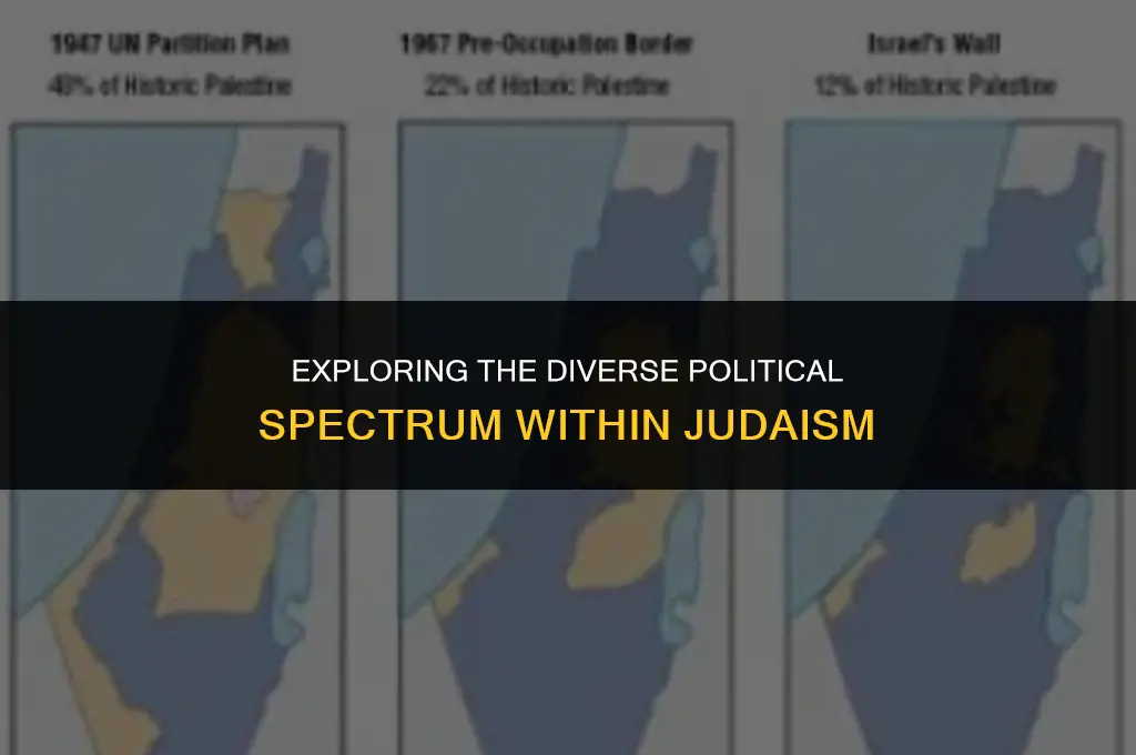 what are the political views of judaism