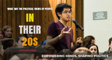 Exploring the Political Landscape: Perspectives of Young Adults in Their 20s