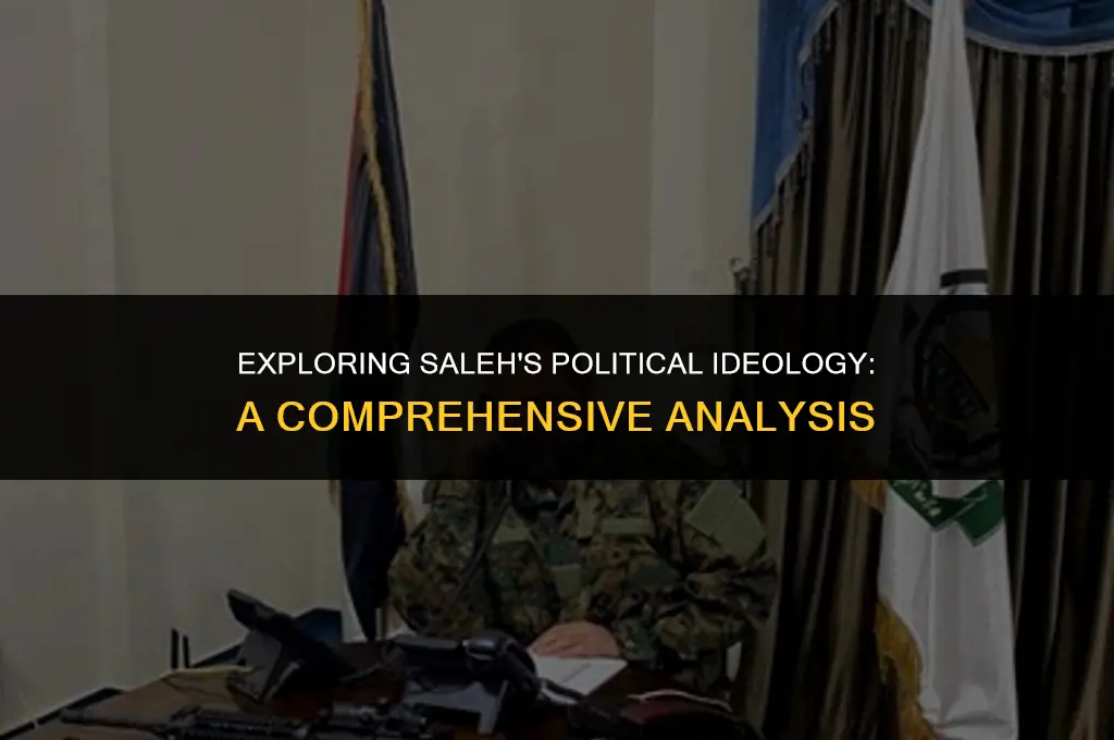 what are the political views of saleh
