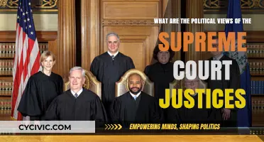 Exploring the Political Spectrum: A Look at Supreme Court Justices' Views