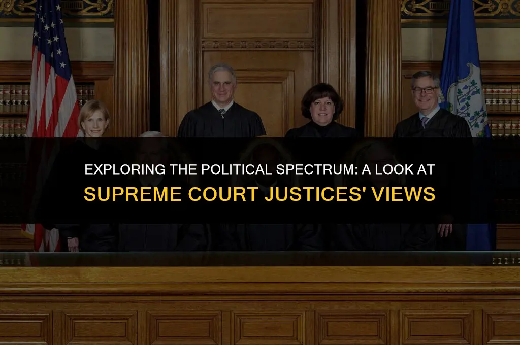 what are the political views of the supreme court justices