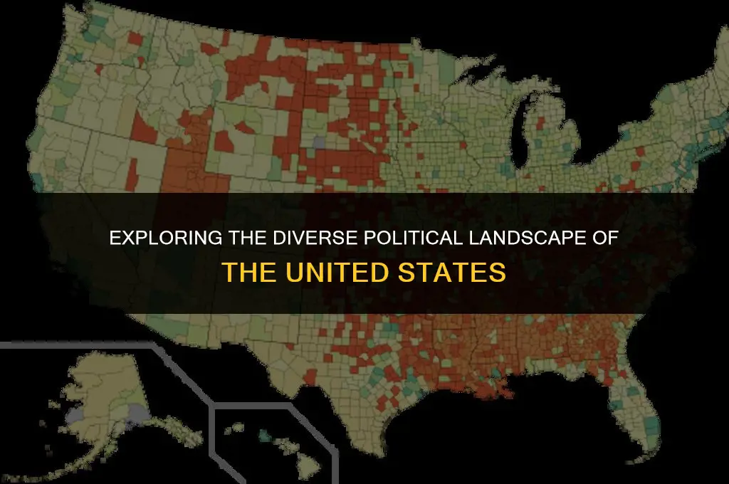 what are the political views of the united states