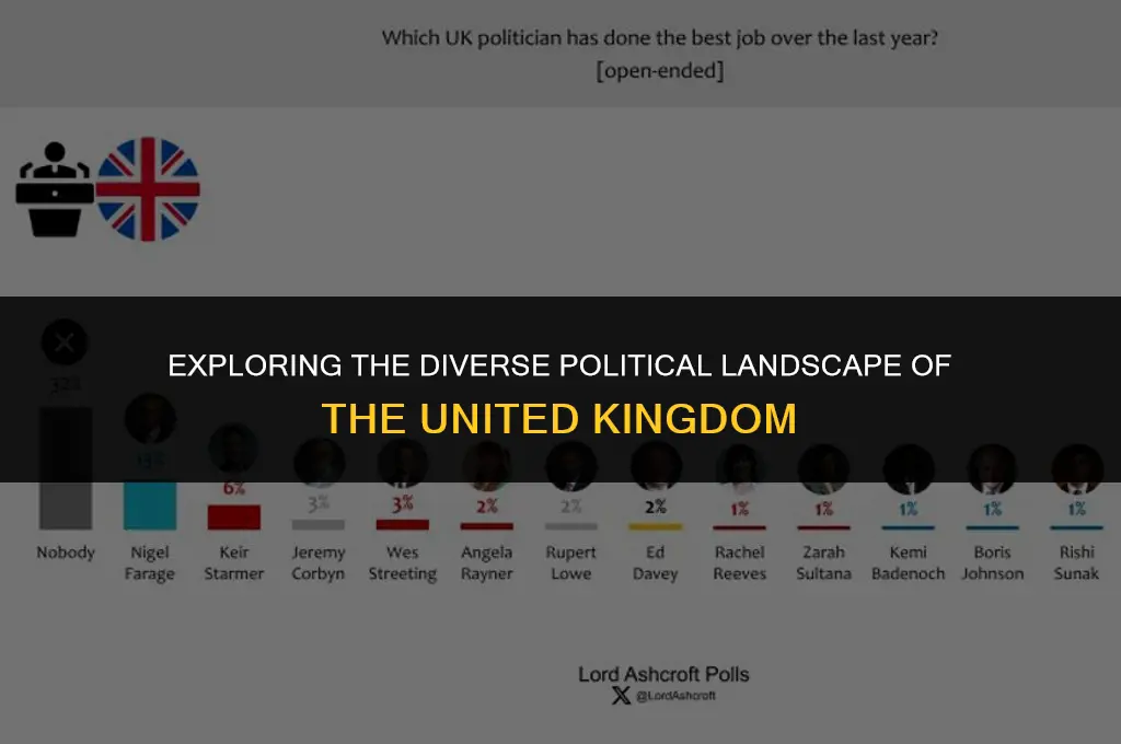 what are the political views uk