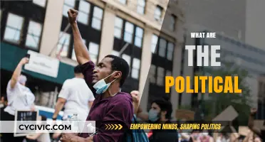 Exploring the Complex World of Political Systems and Their Impact