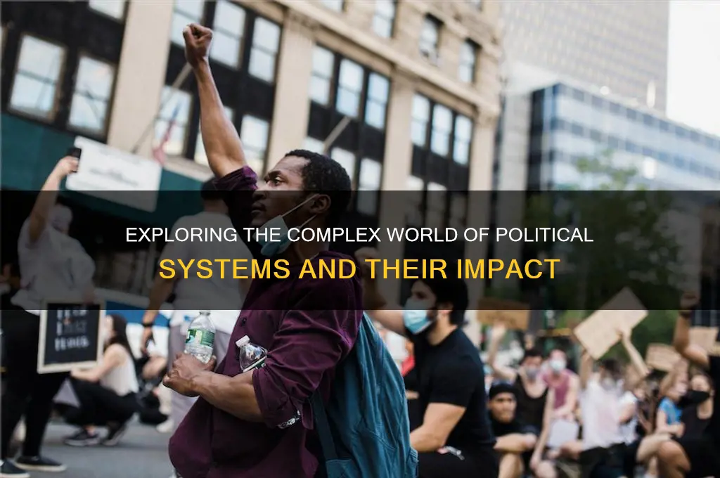 what are the political