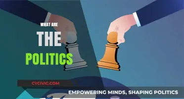 Understanding the Complex World of Politics: Power, Policies, and People