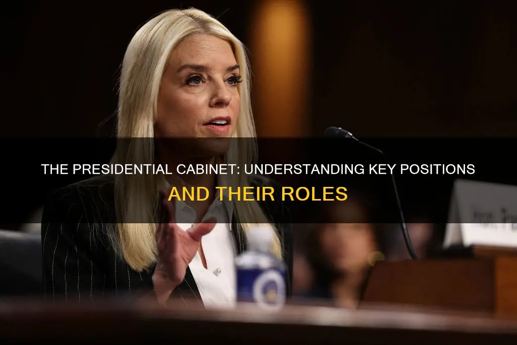 what are the positions in the presidential cabinet