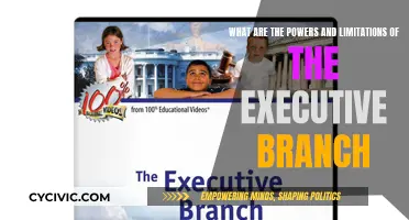 Executive Branch: Powers and Limits Explained