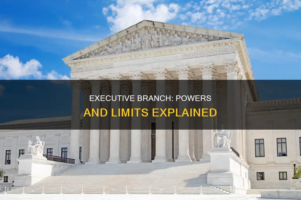 what are the powers and limitations of the executive branch